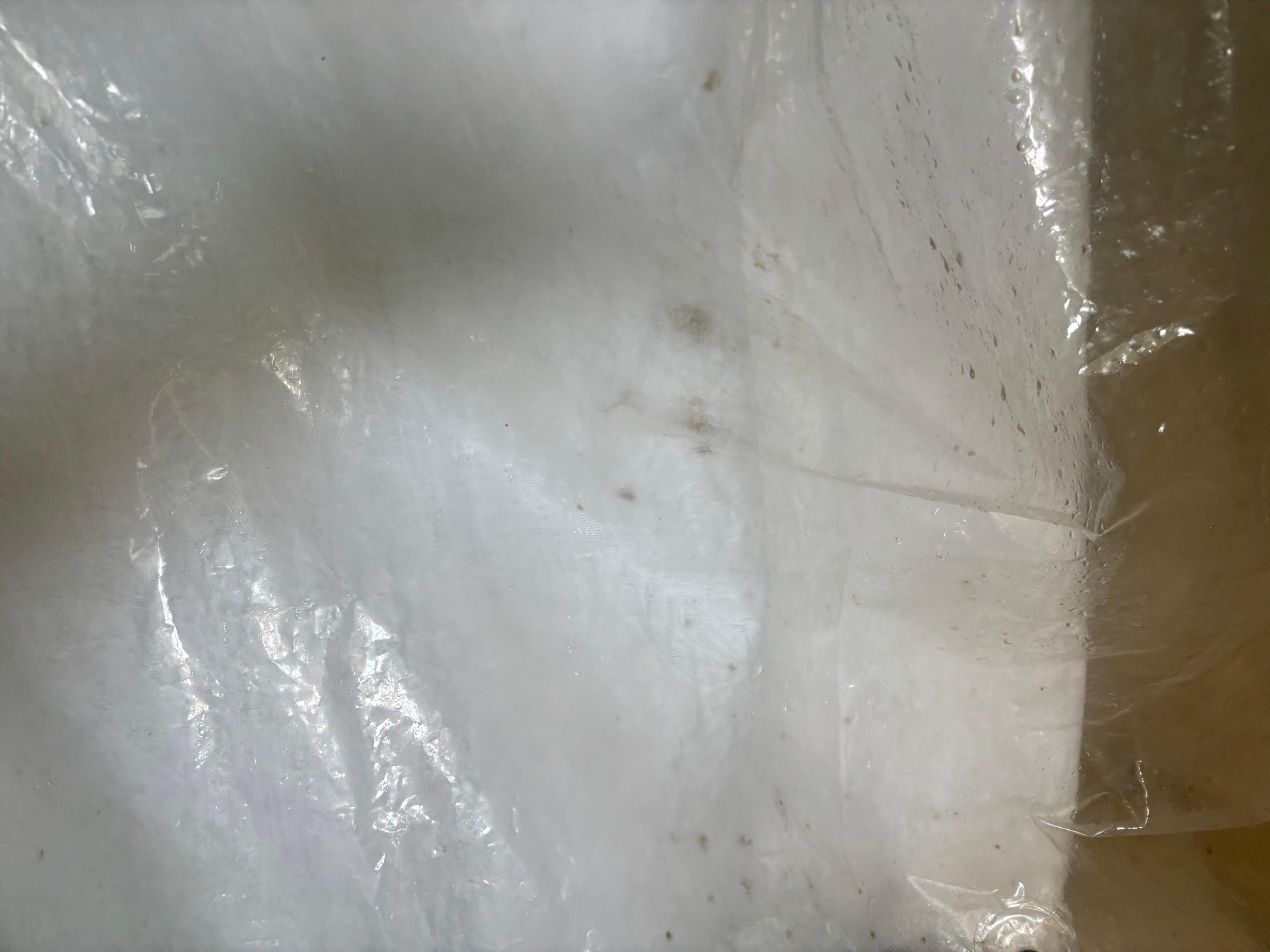 Moldy shower curtian