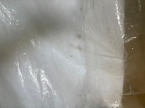 Moldy shower curtian