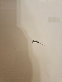 Crack in bathtub which caused it to leak