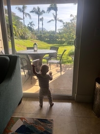 Baby enjoying the view to the back patio. We loved seeing the wild chickens and roosters everyday!