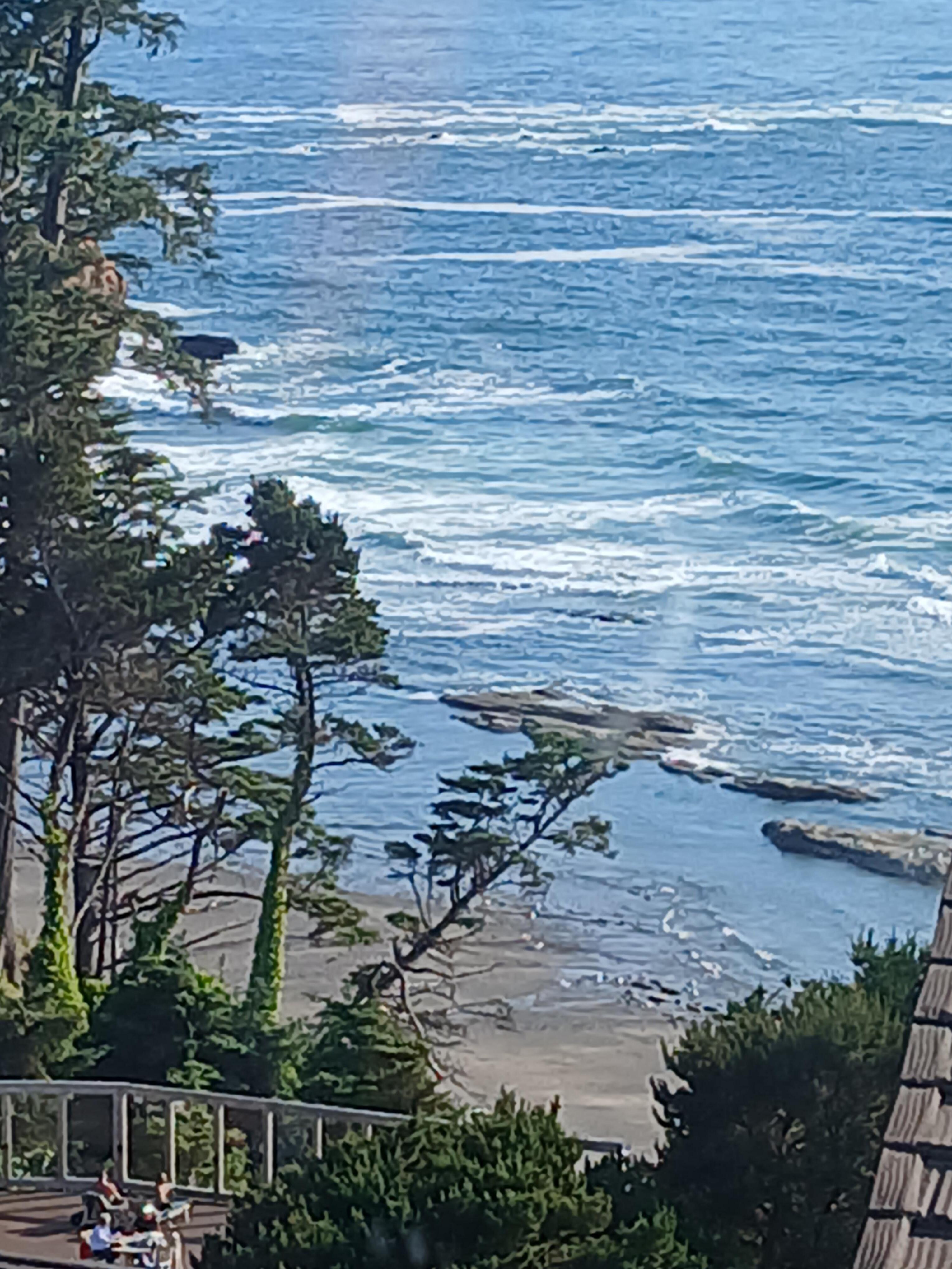 View from our porch off our room