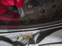 Mold in washer