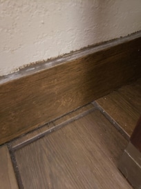 Mold in the bathroom