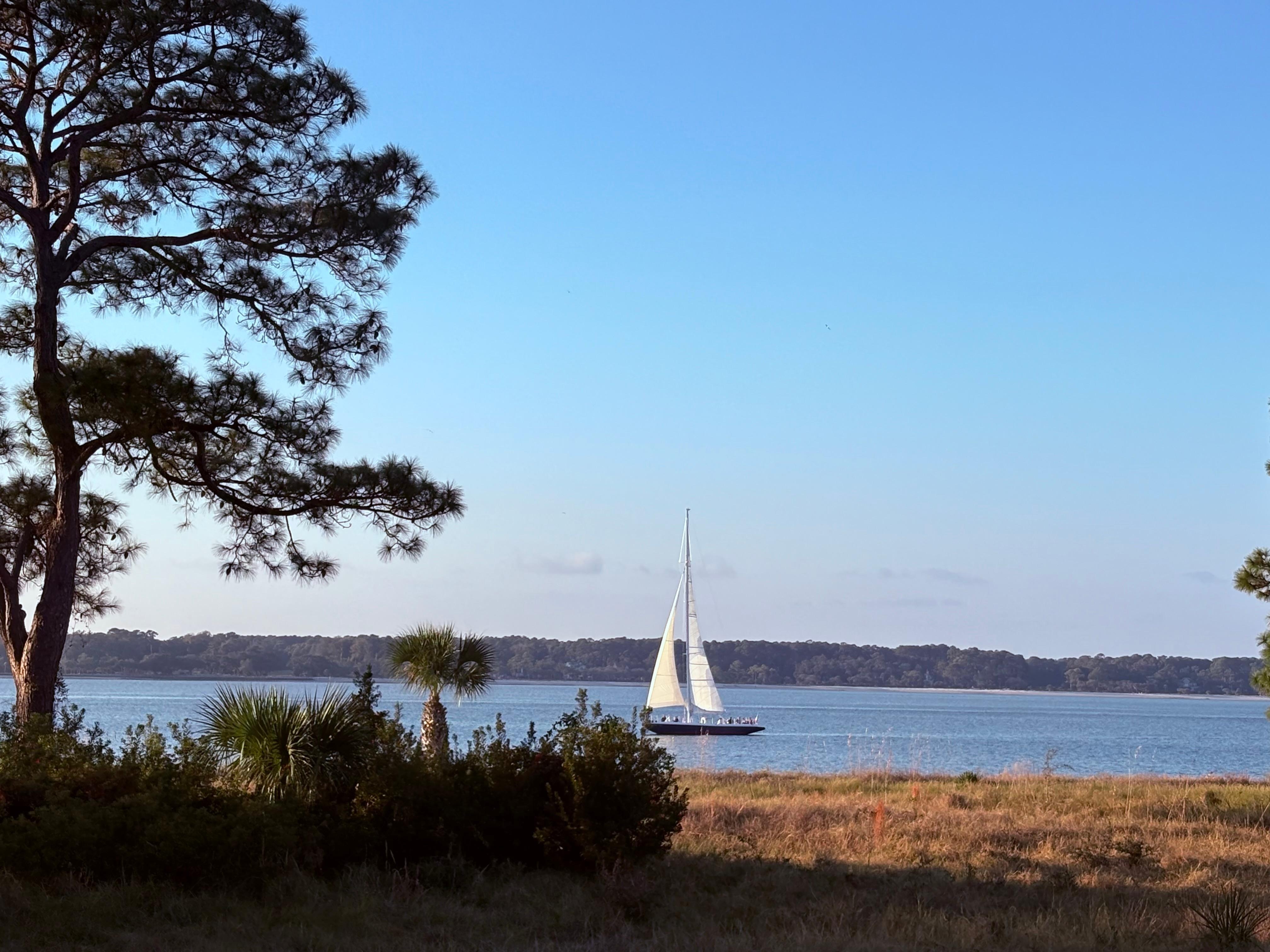Taken from the back porch.