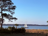 Taken from the back porch.