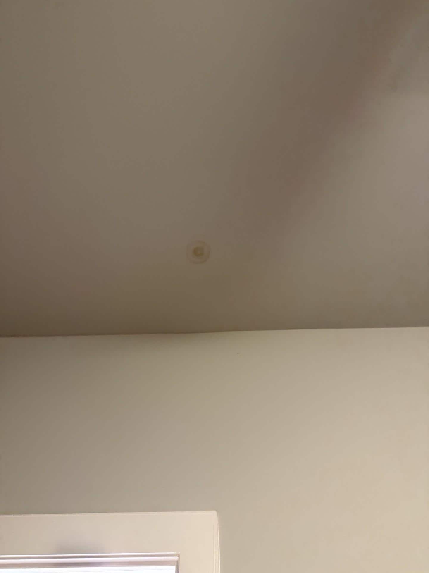 mold in the ceiling