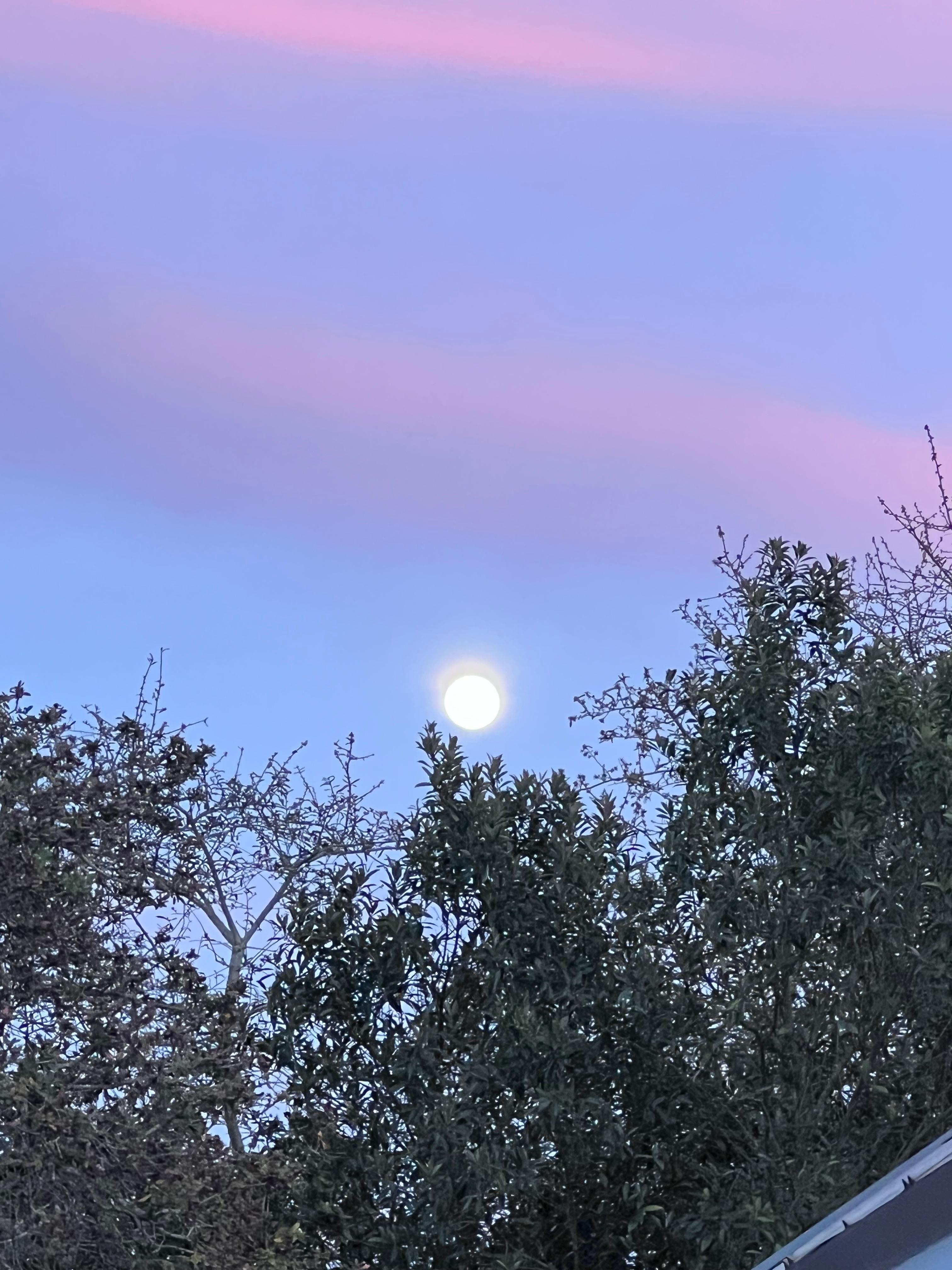 Beautiful skies 