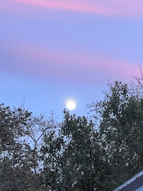 Beautiful skies