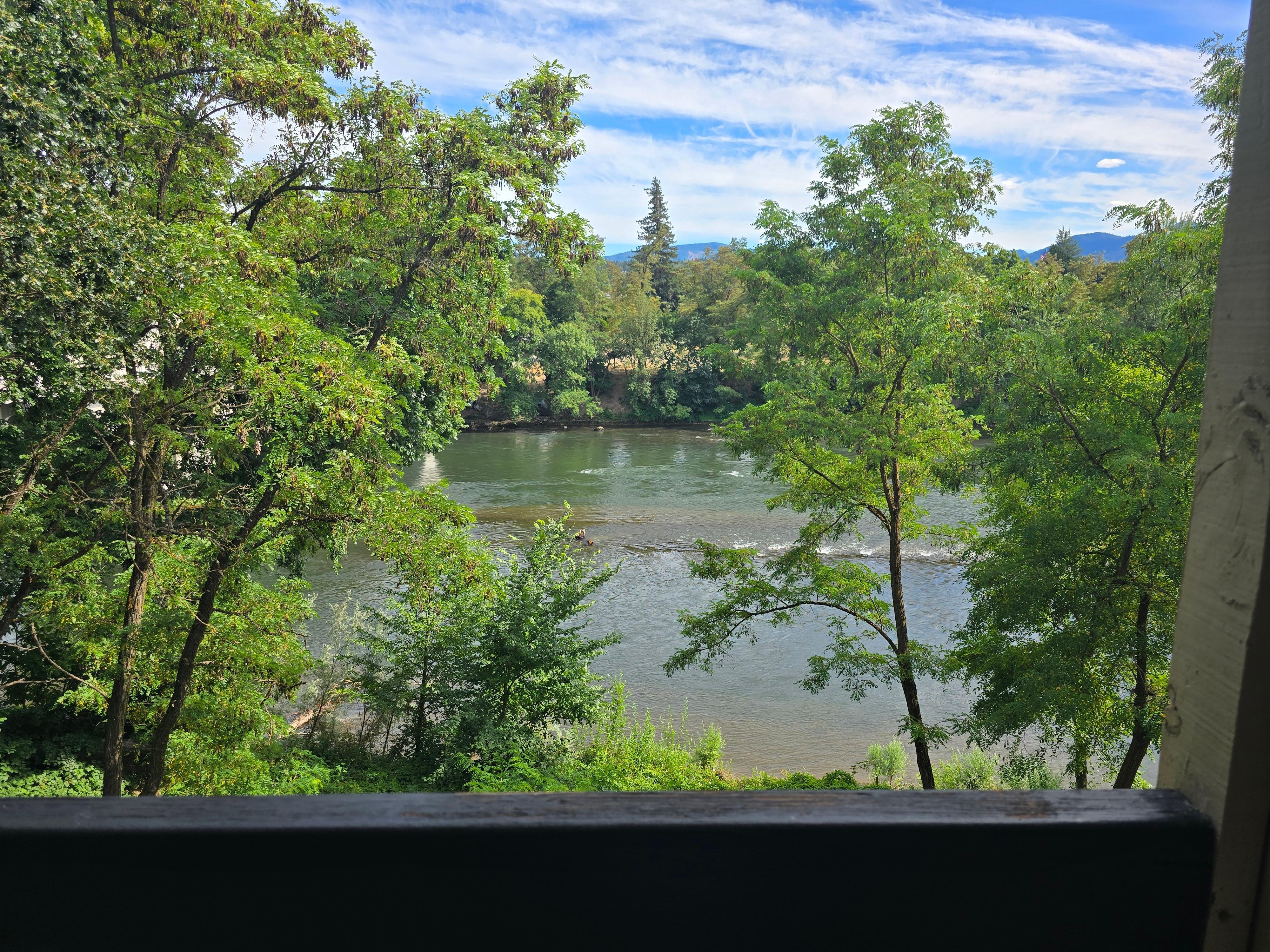 View from patio!