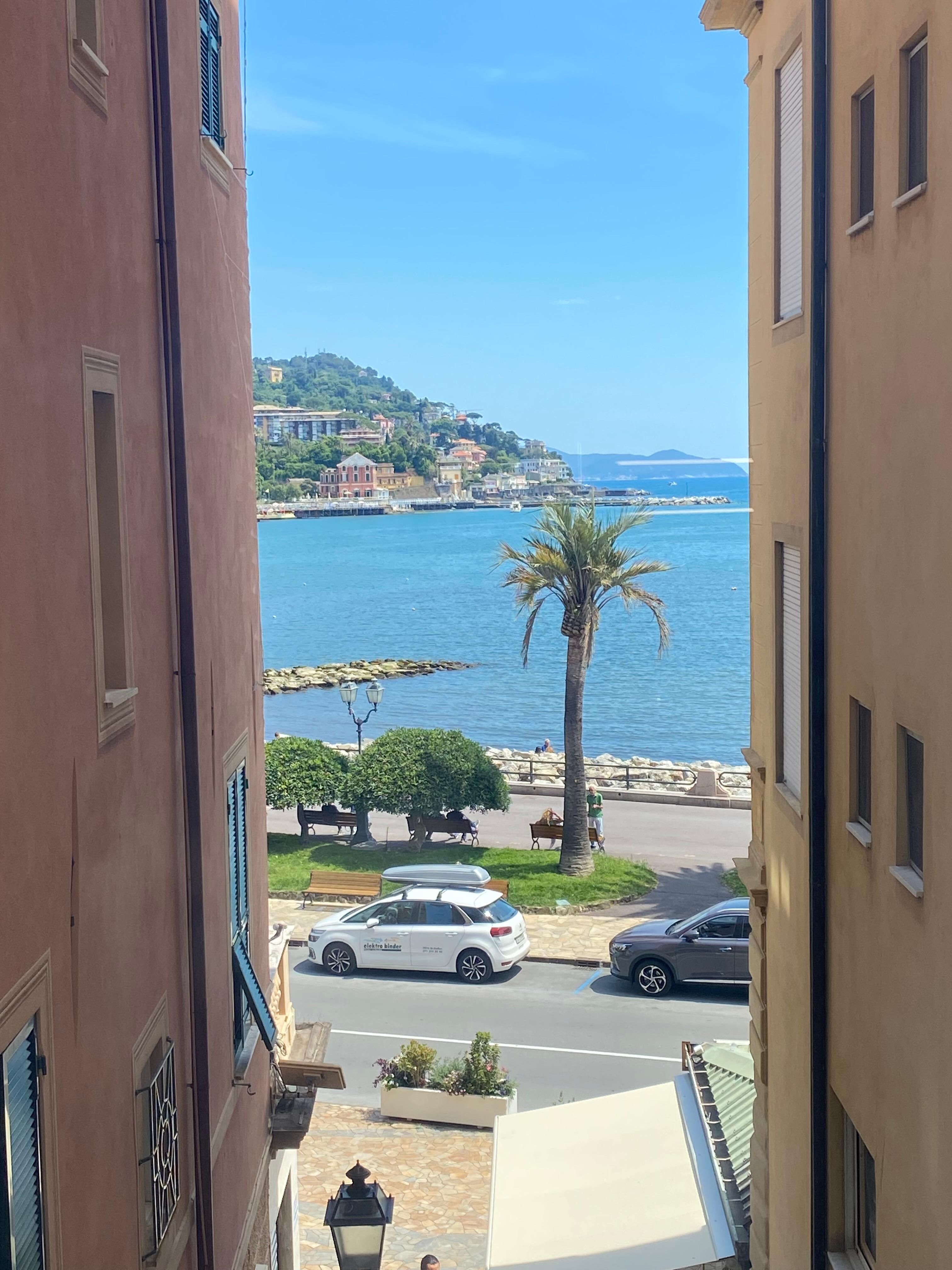 View from my room