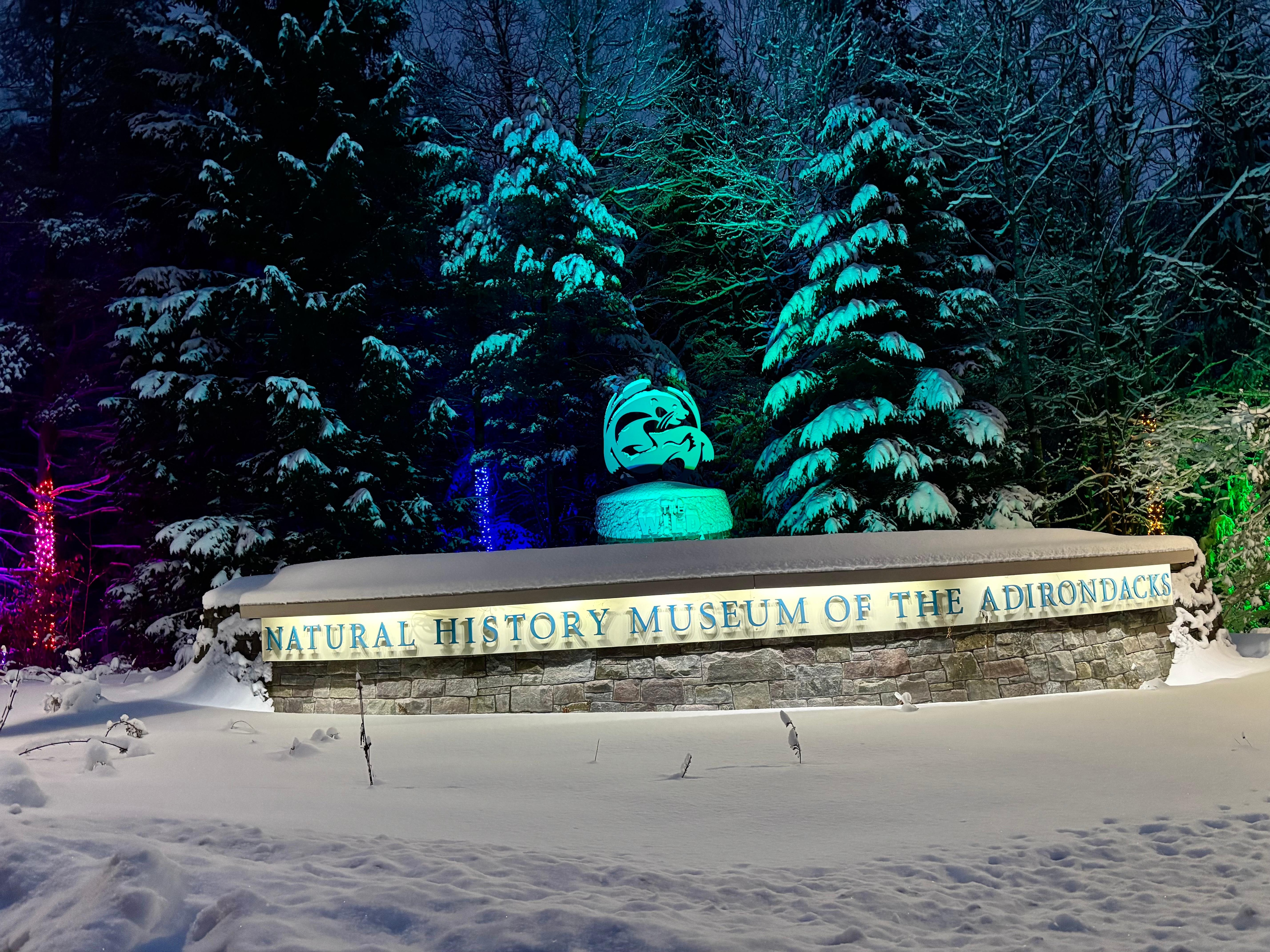 Wild Lights at Wild Center