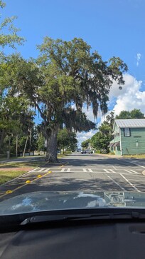 Downtown St. Mary's