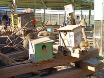 町田リス園
手からひまわりの種を食べてくれて感激だった