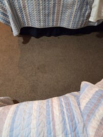 Dirty rug