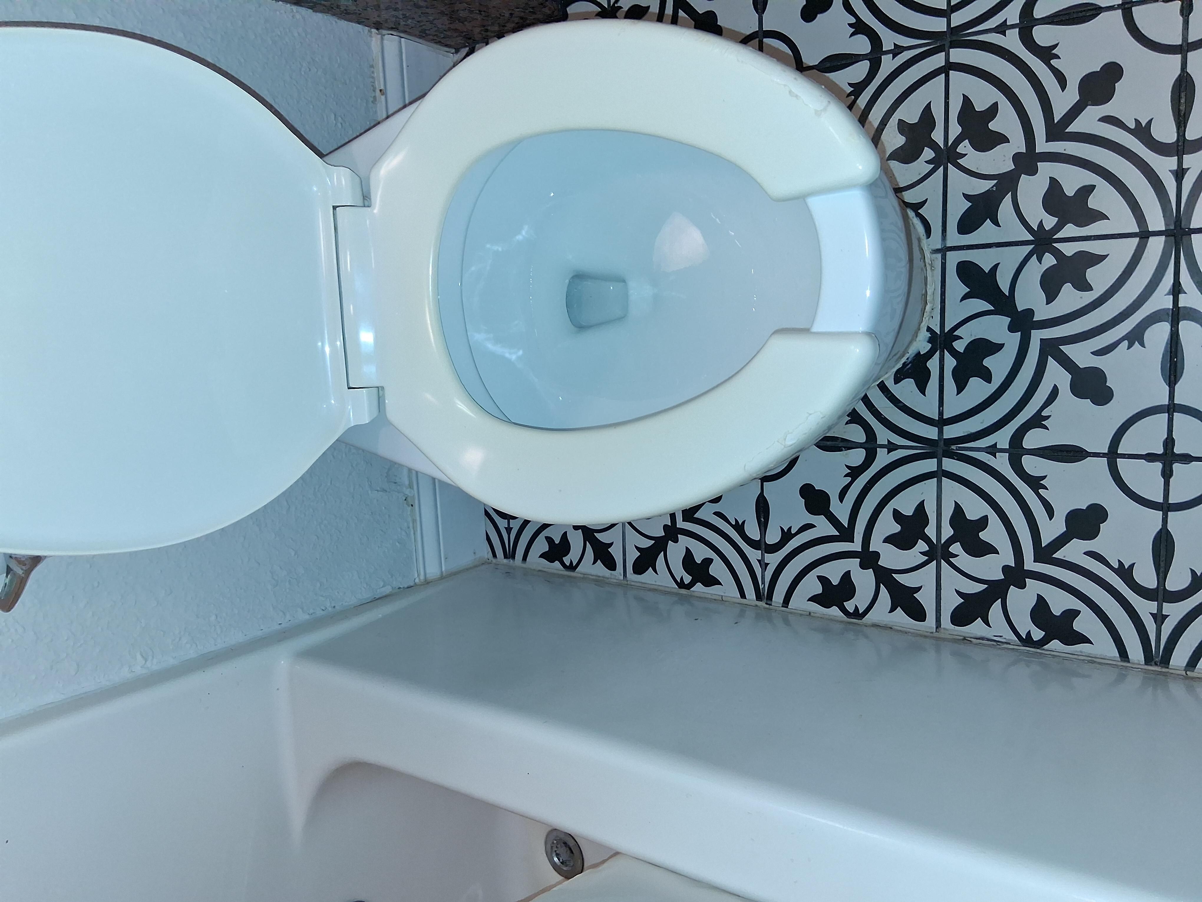 Toilet running