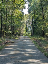 The road into the woods.