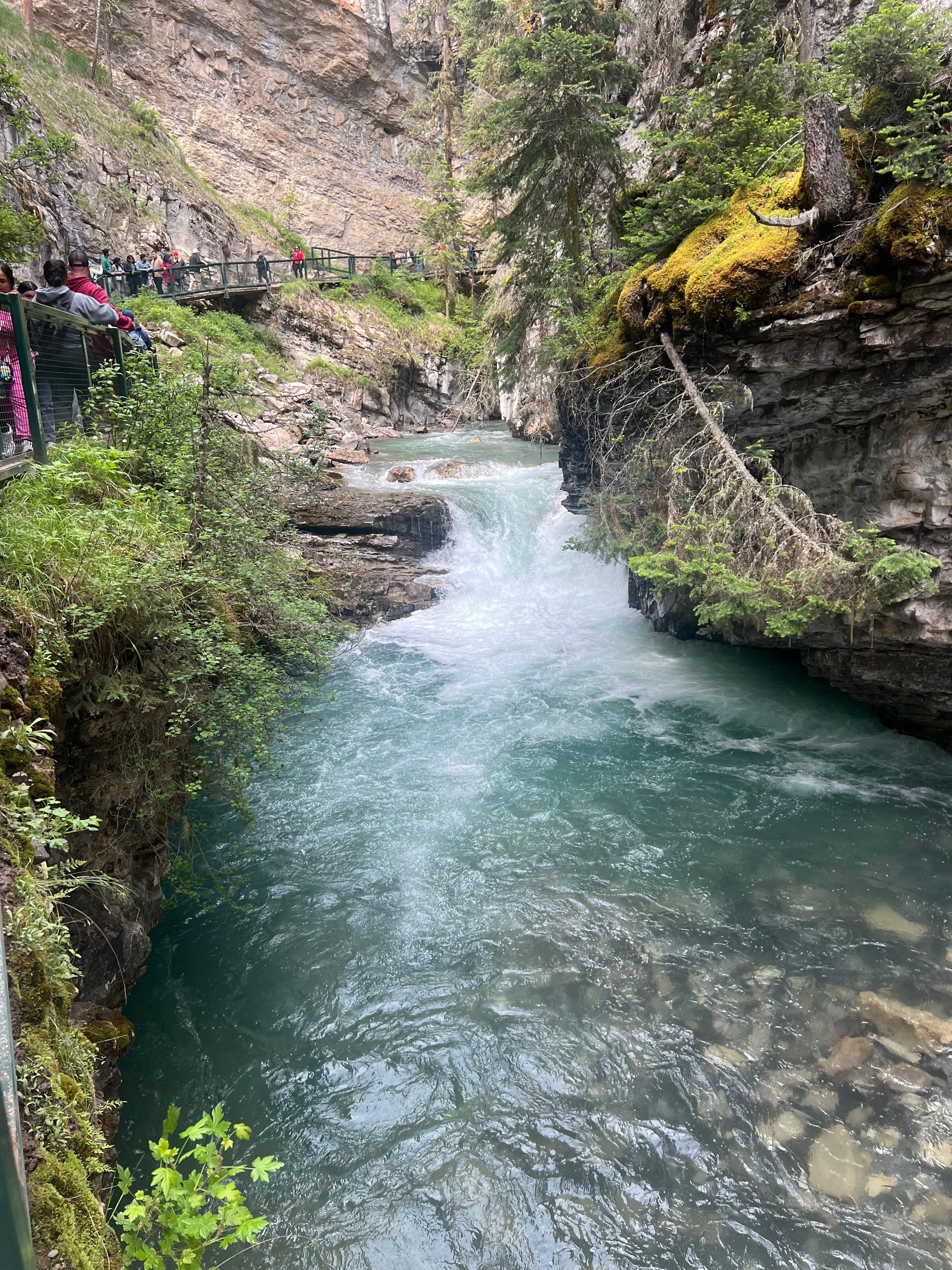 Johnson canyon falls