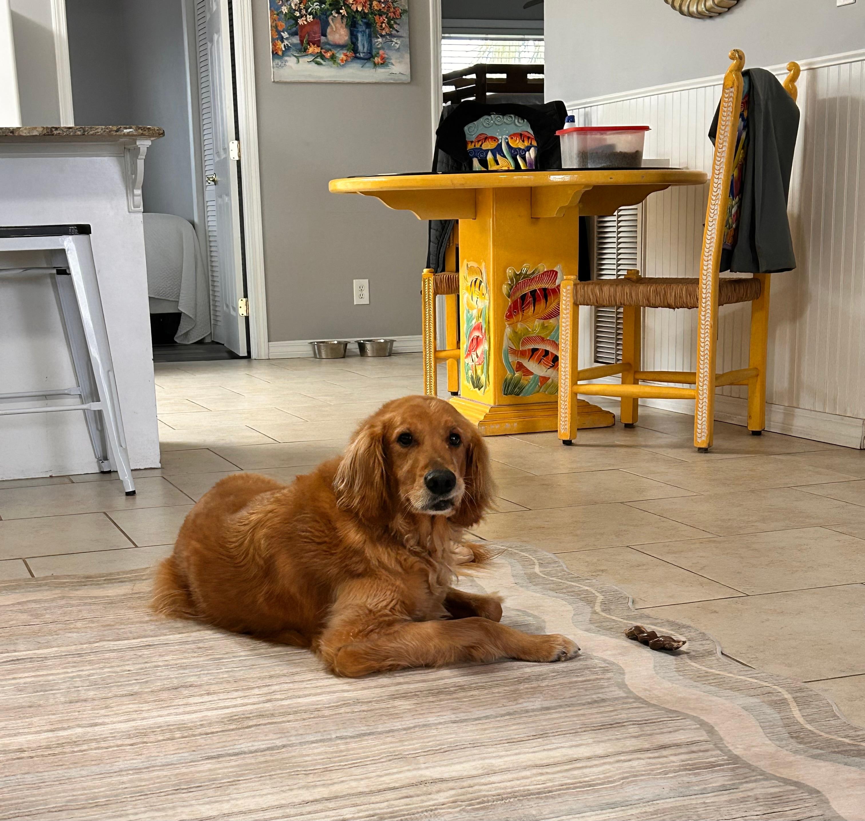 We were happy to find a pet friendly home so close to the beach.