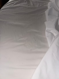 Nasty hair and dirt on the sheets