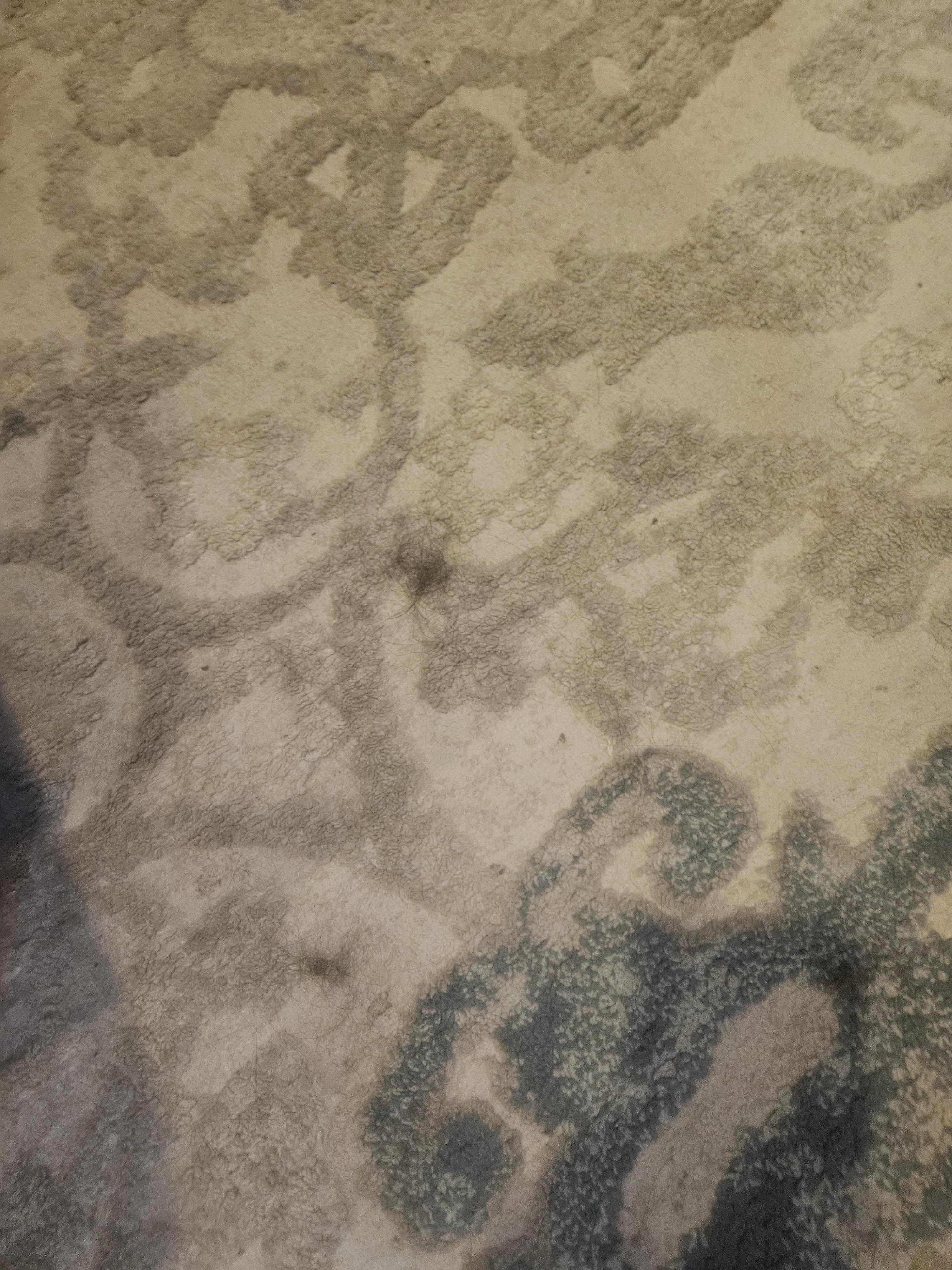Dirty rug