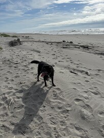 So much fun
