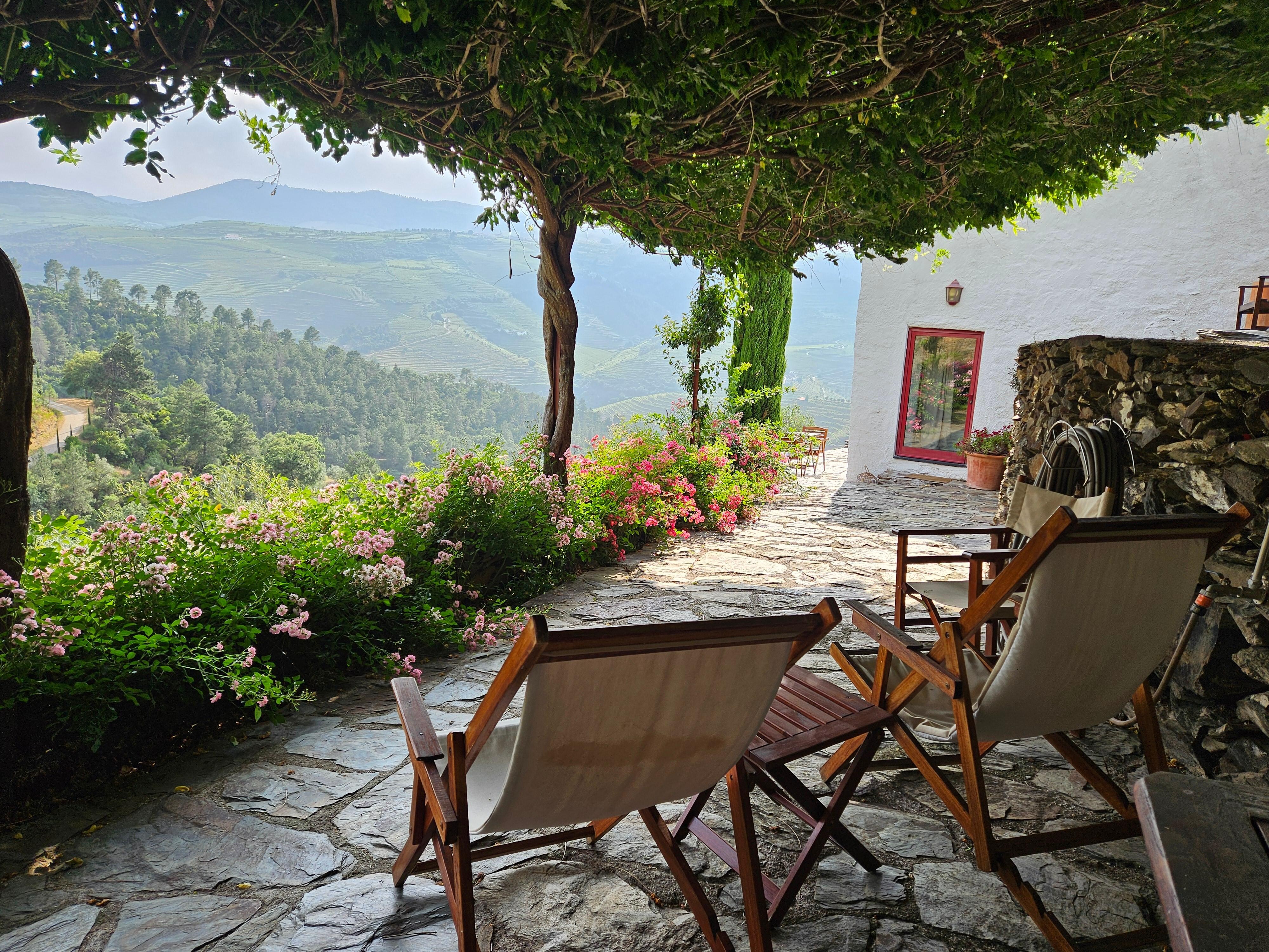 Peaceful nightly sunset viewing