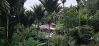 View of Annabelle's B&B