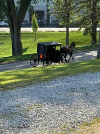Shared the richness of the Amish with the boys