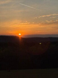 Mornings on the patio.