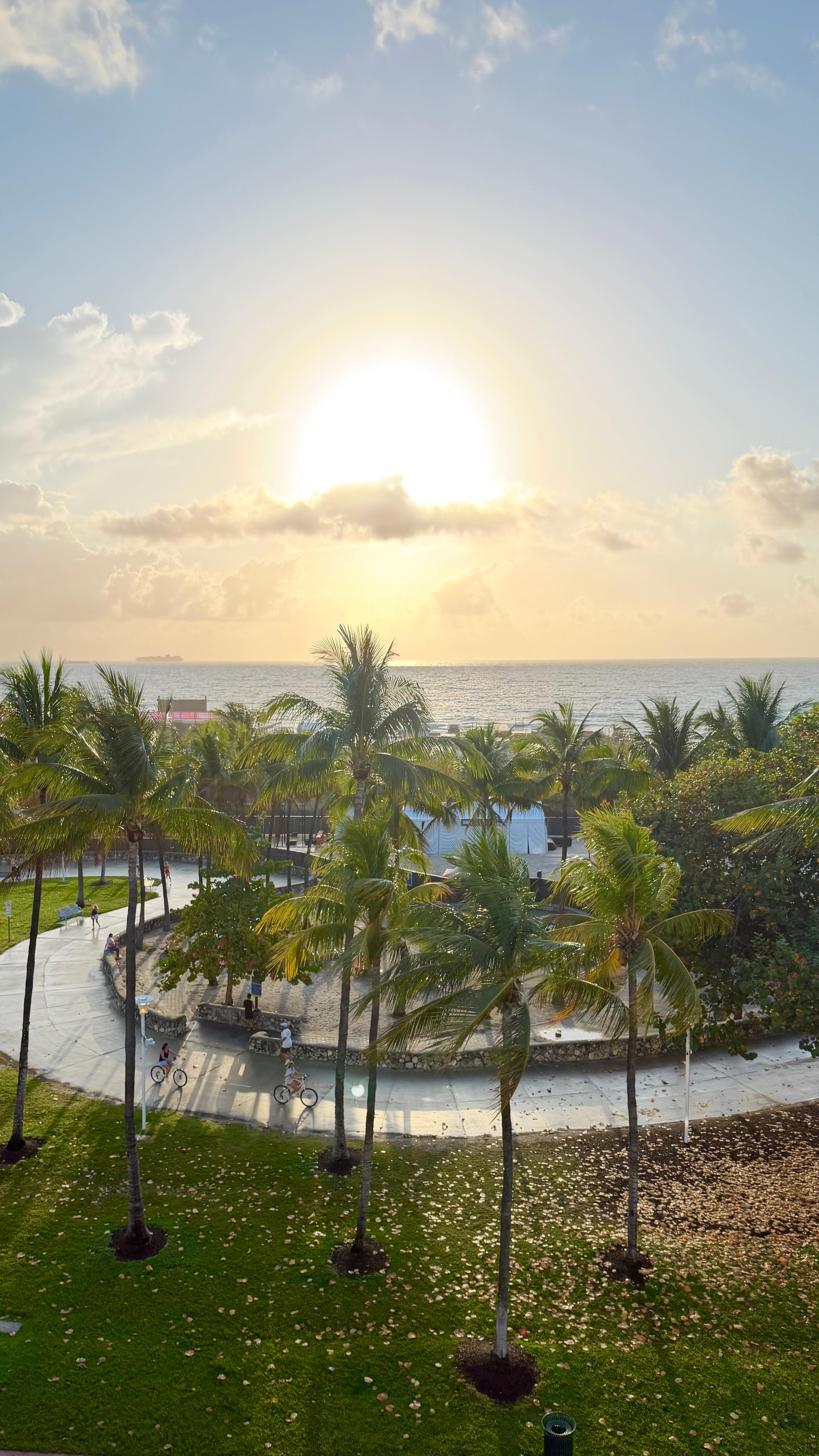 Morning view from our room. 