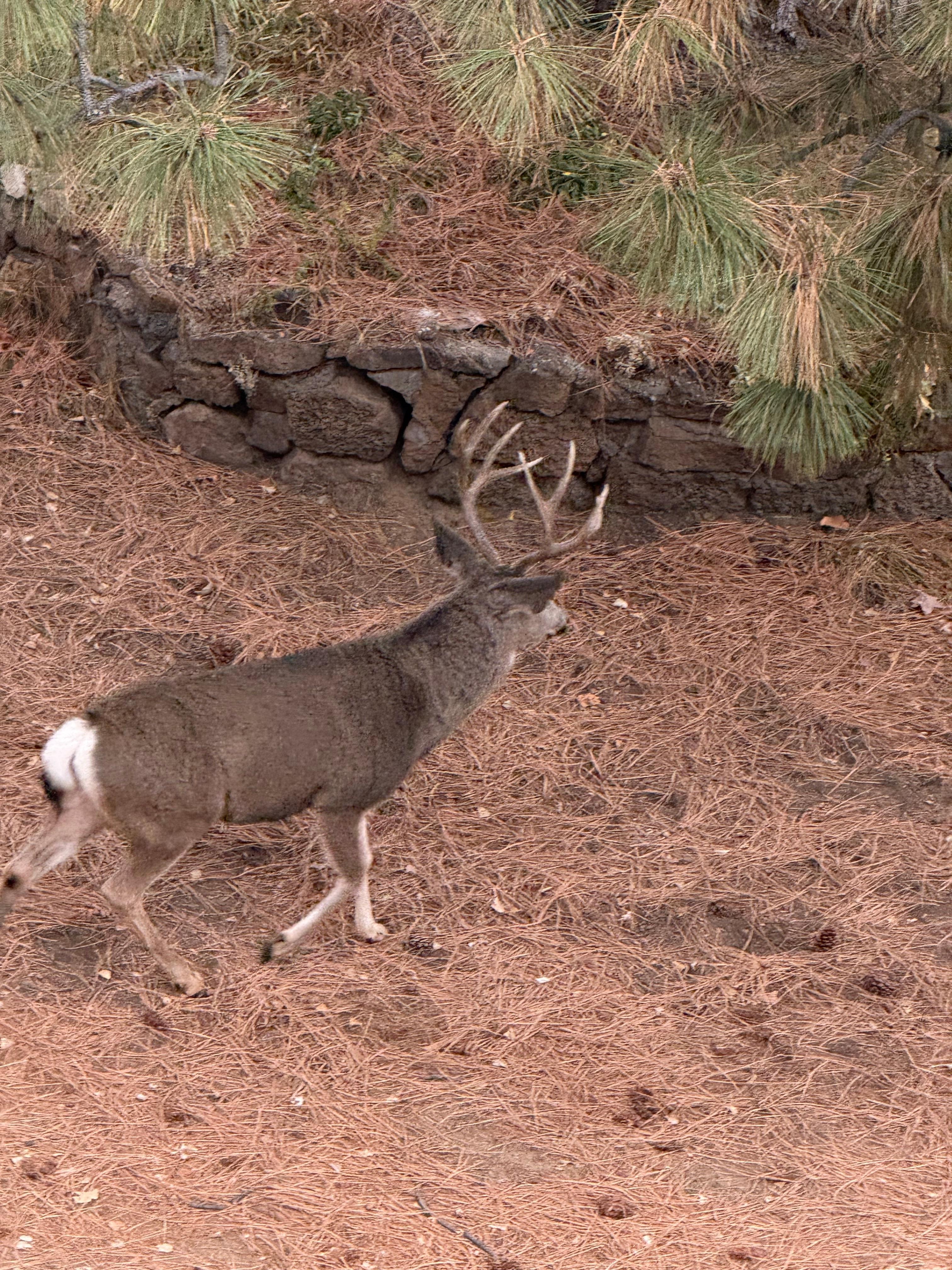 Right out the kitchen window!