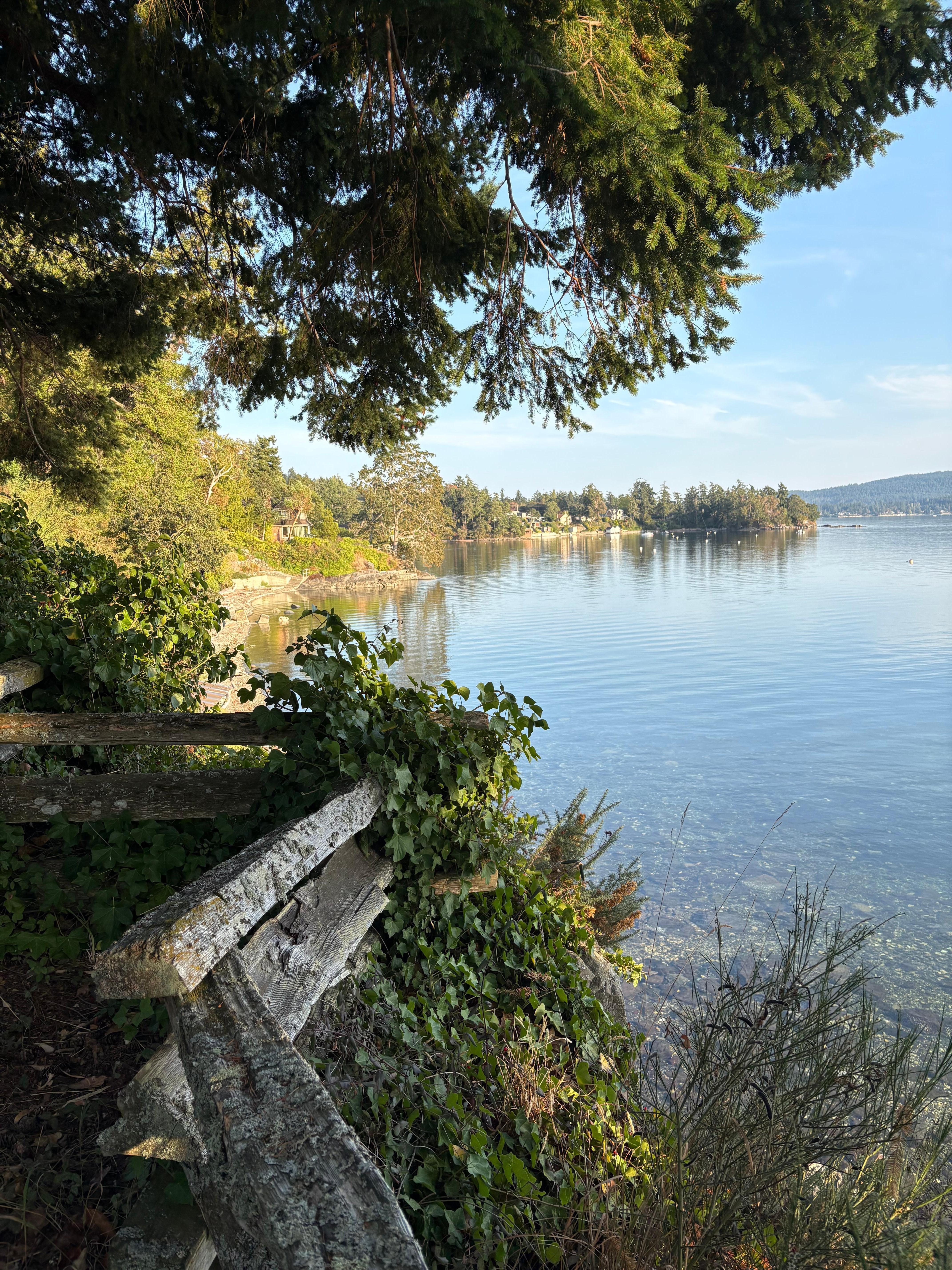 Another beautiful viewpoint on the property, just steps from the cottage