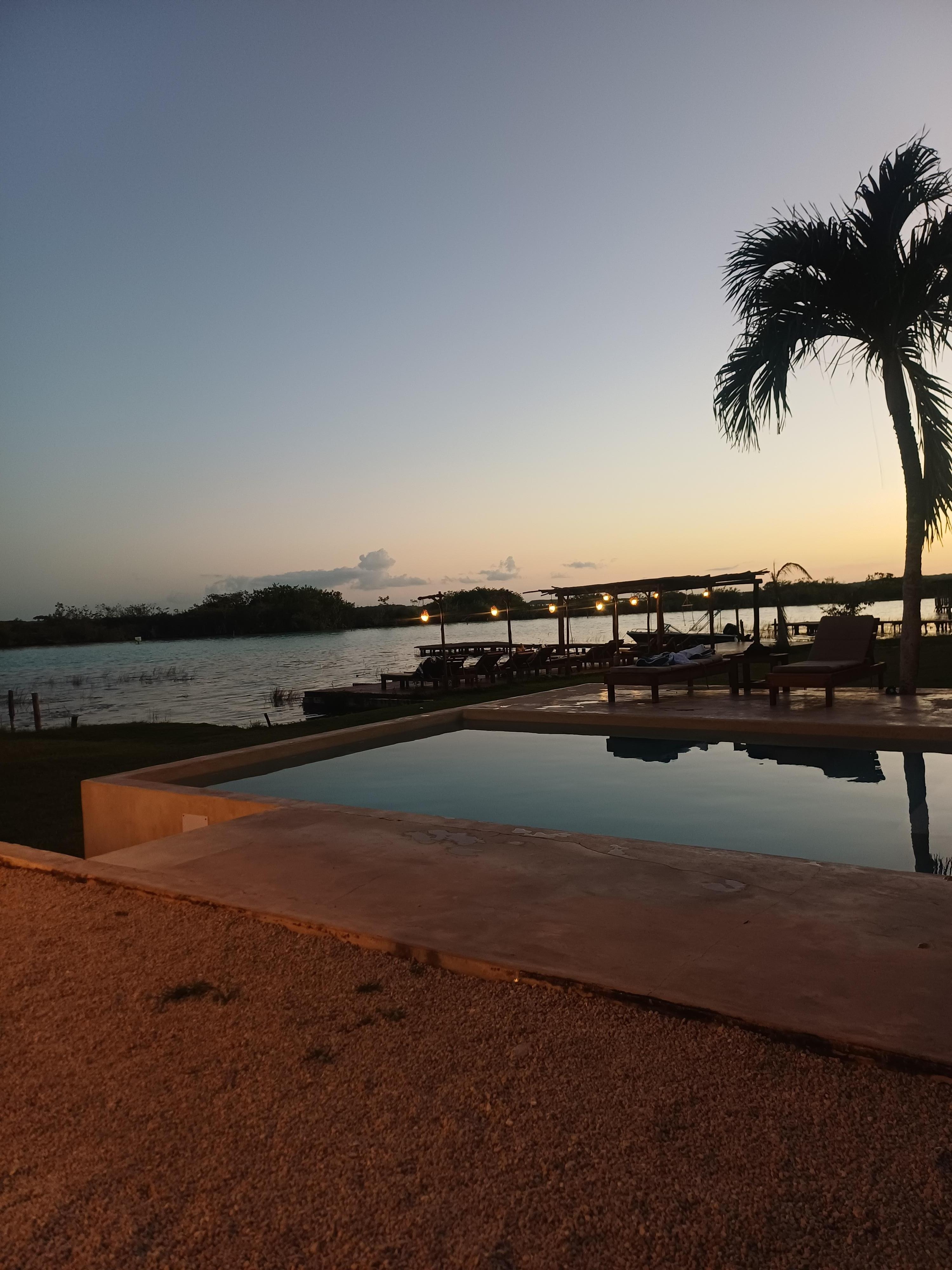 Disfrutando la tarde