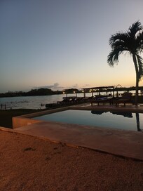 Disfrutando la tarde