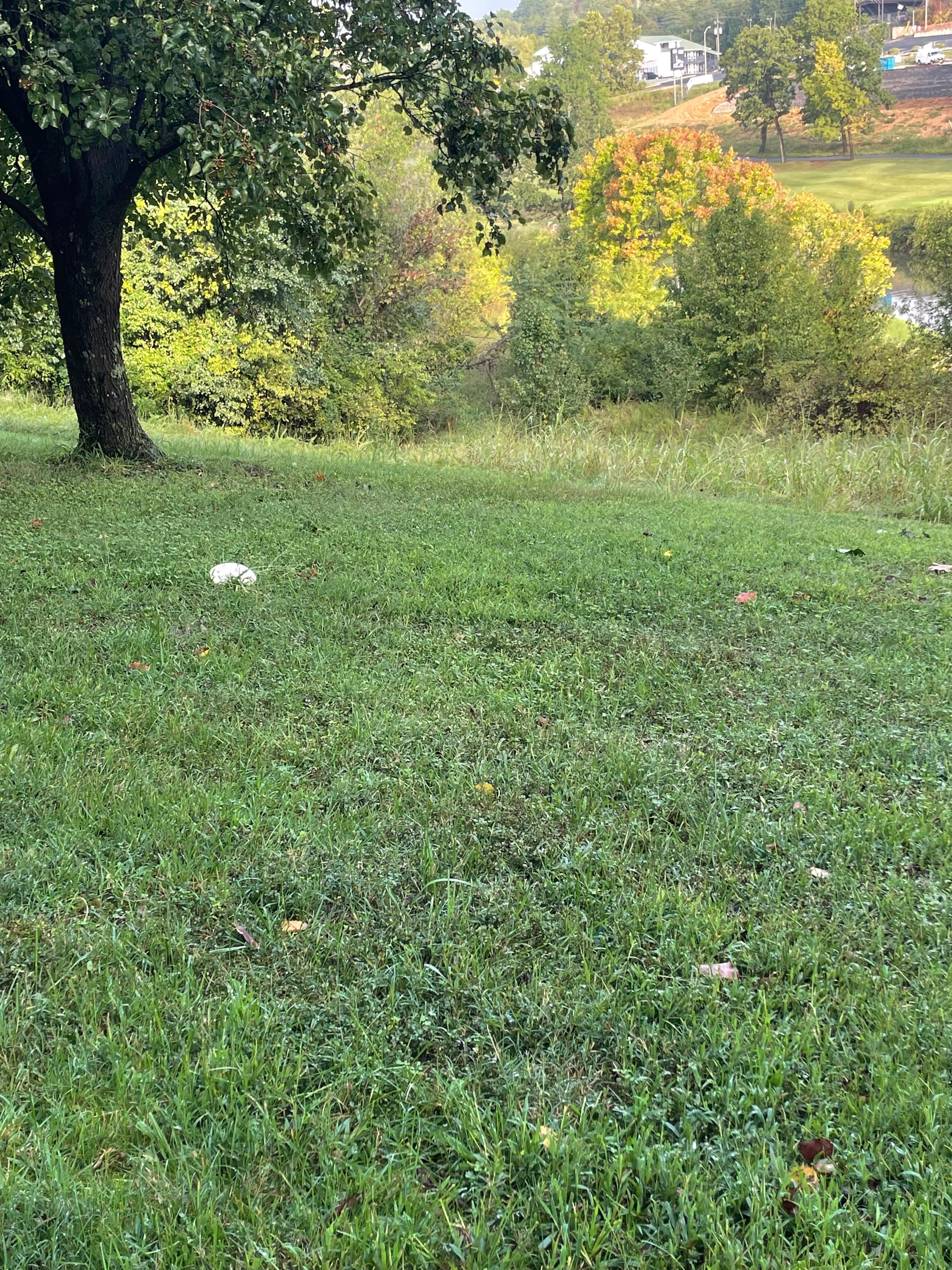 Picture was taken just off the back porch.