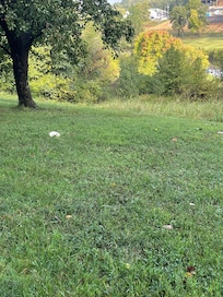 Picture was taken just off the back porch.