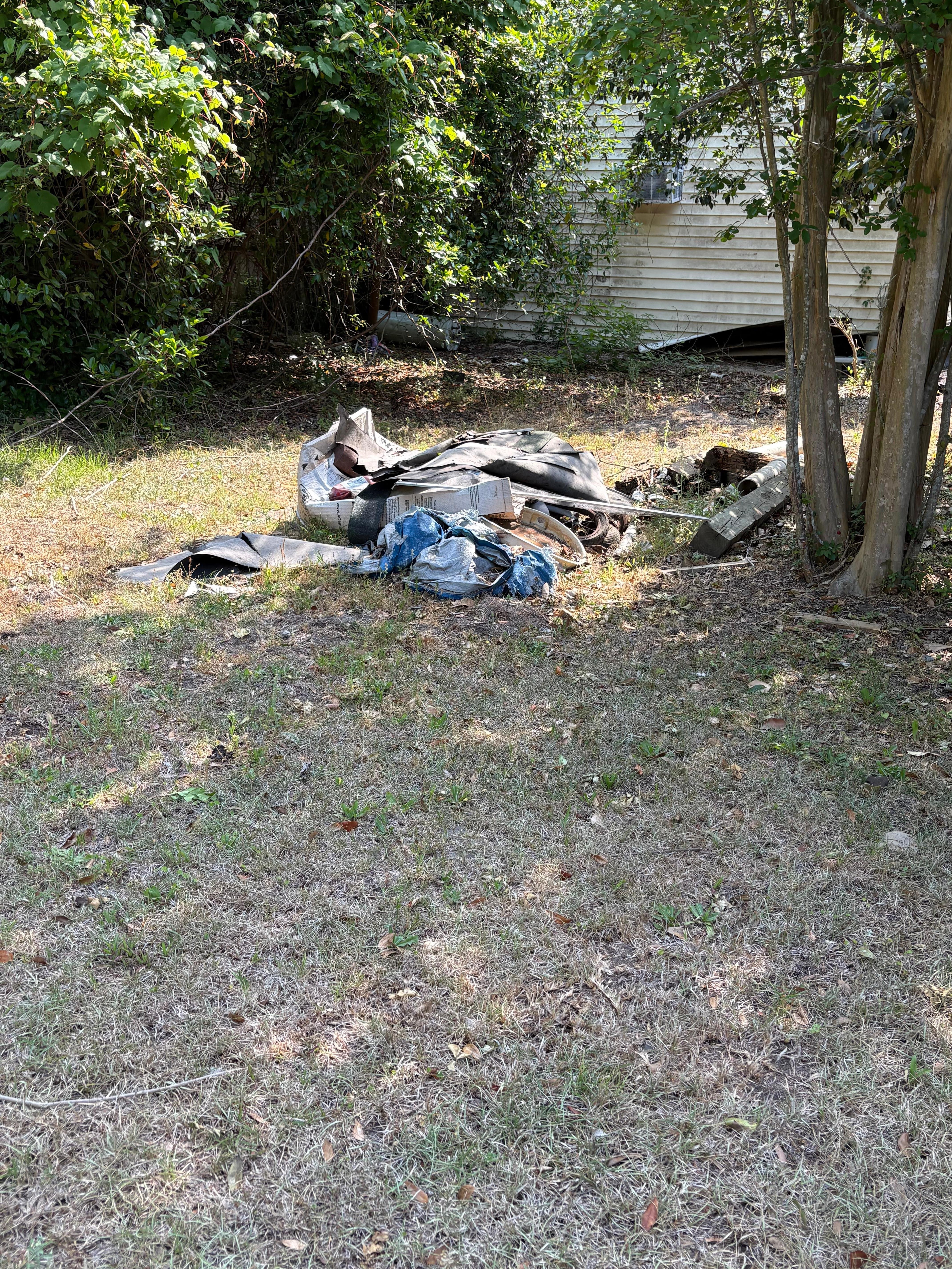 Back yard