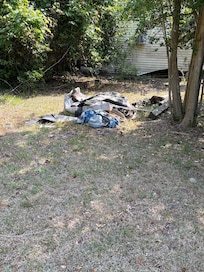 Back yard
