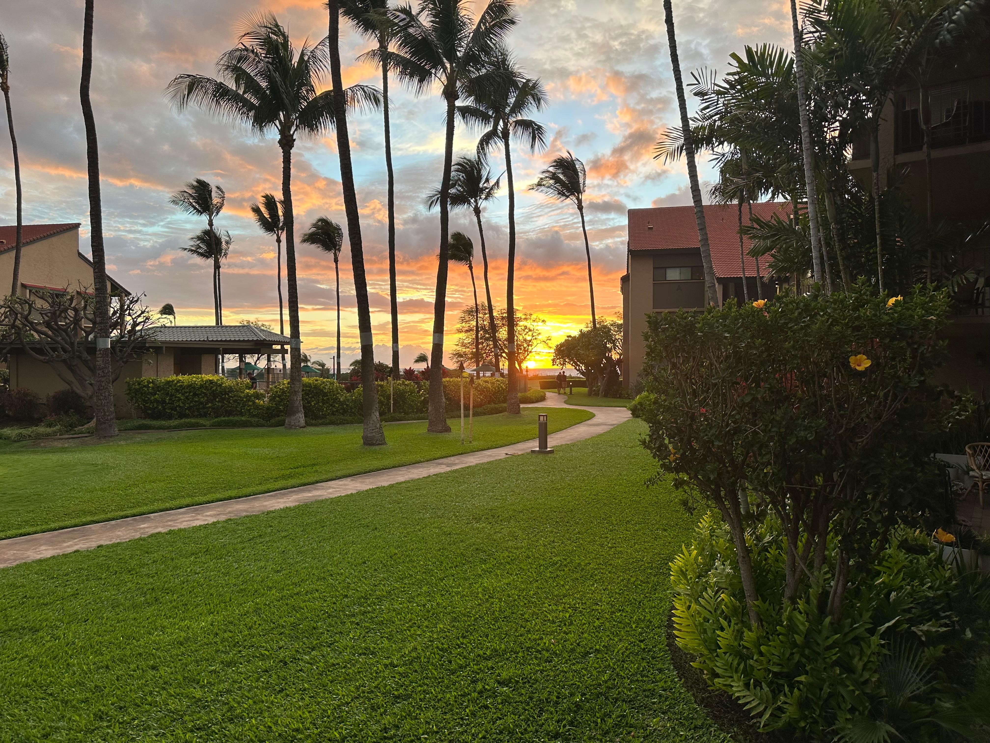 Also taken from the lanai.