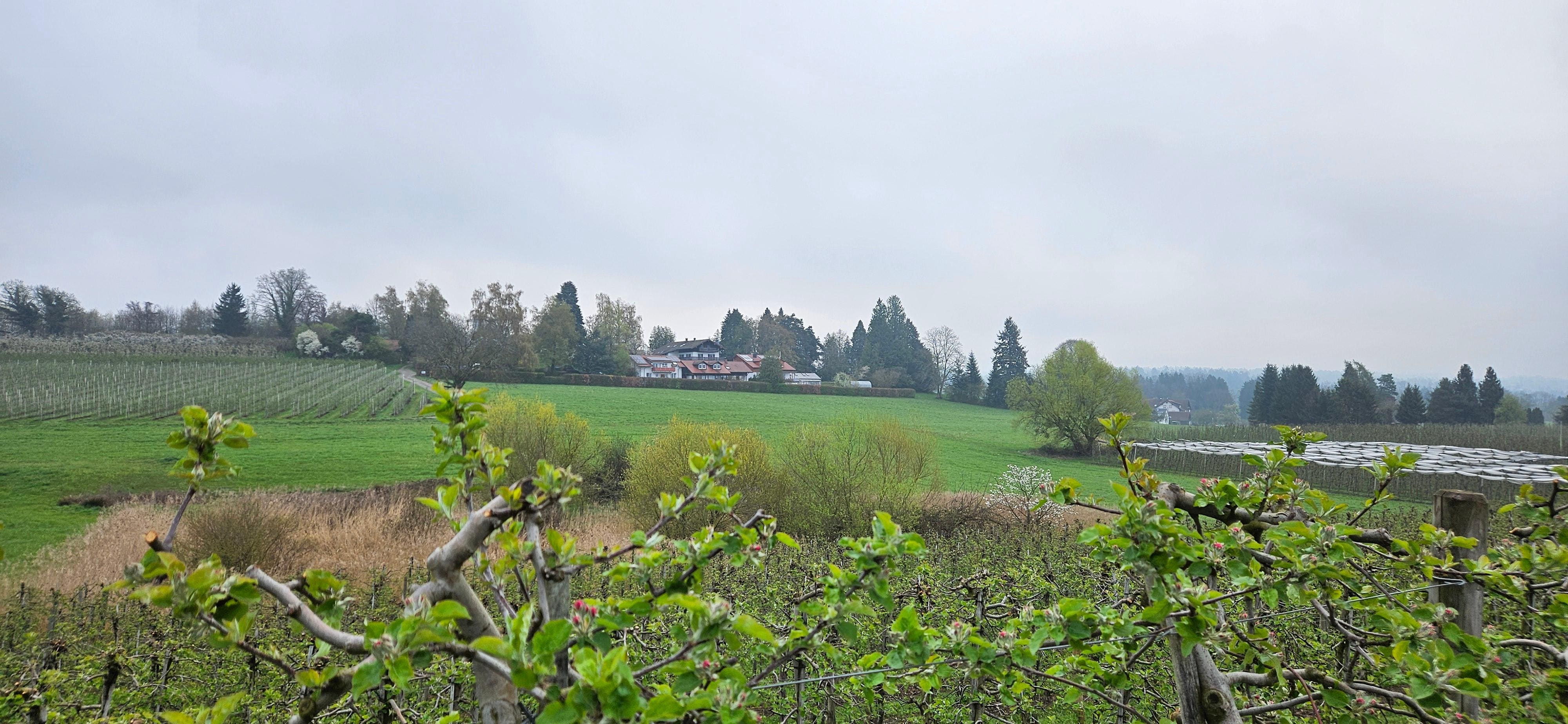 Lage inmitten der Obstplantagen