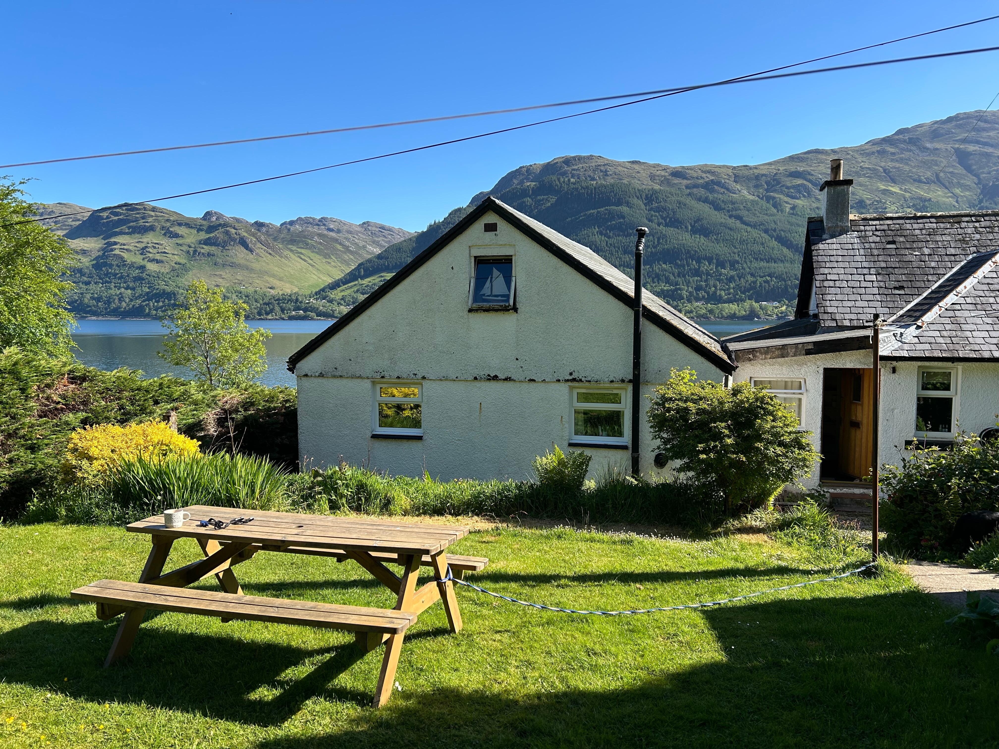 The back garden 