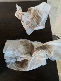 Picture of dirt from floor
