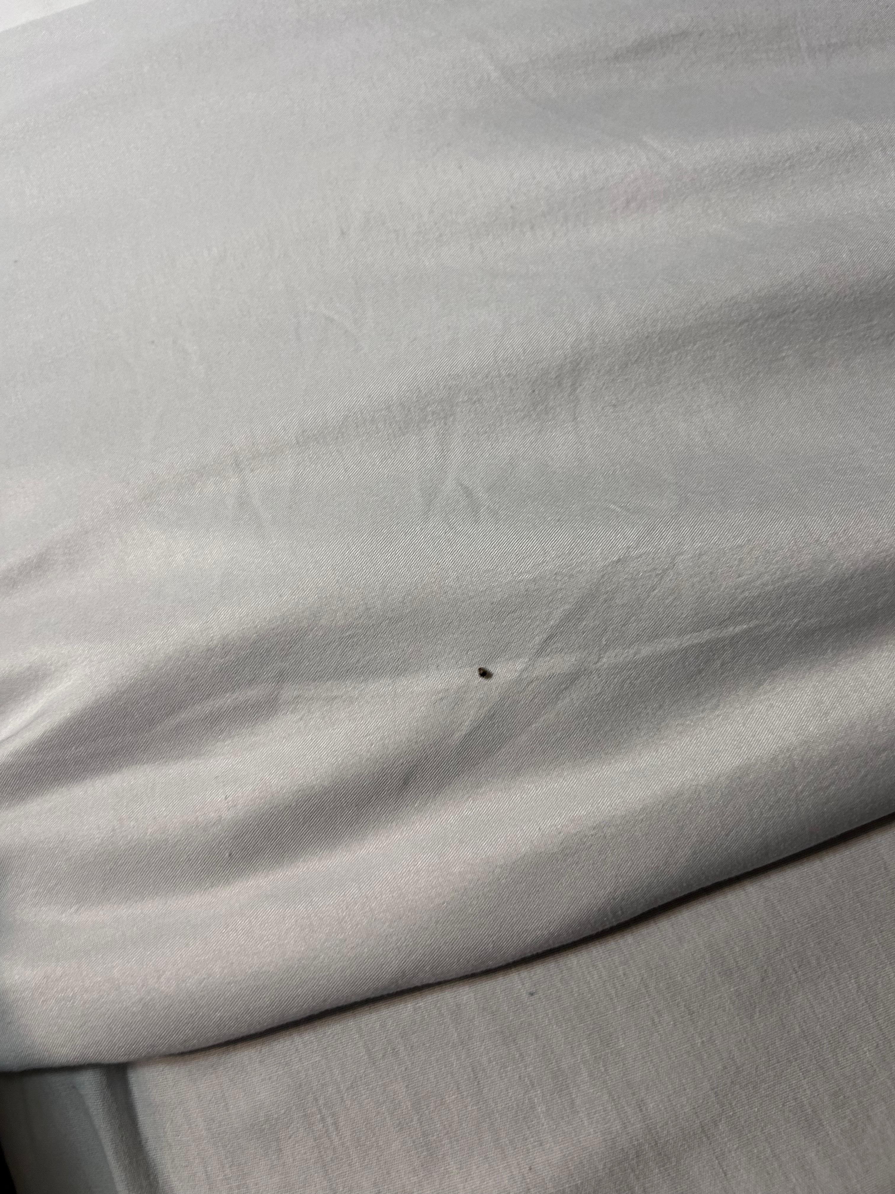 Roach we killed in the bed 