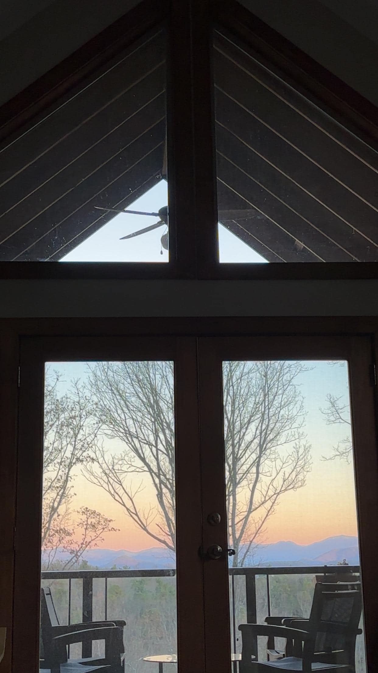 Morning views from inside