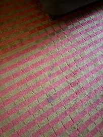 carpet stains