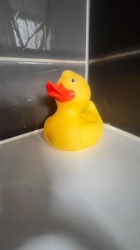 WTD! 🤣 very well behaved!