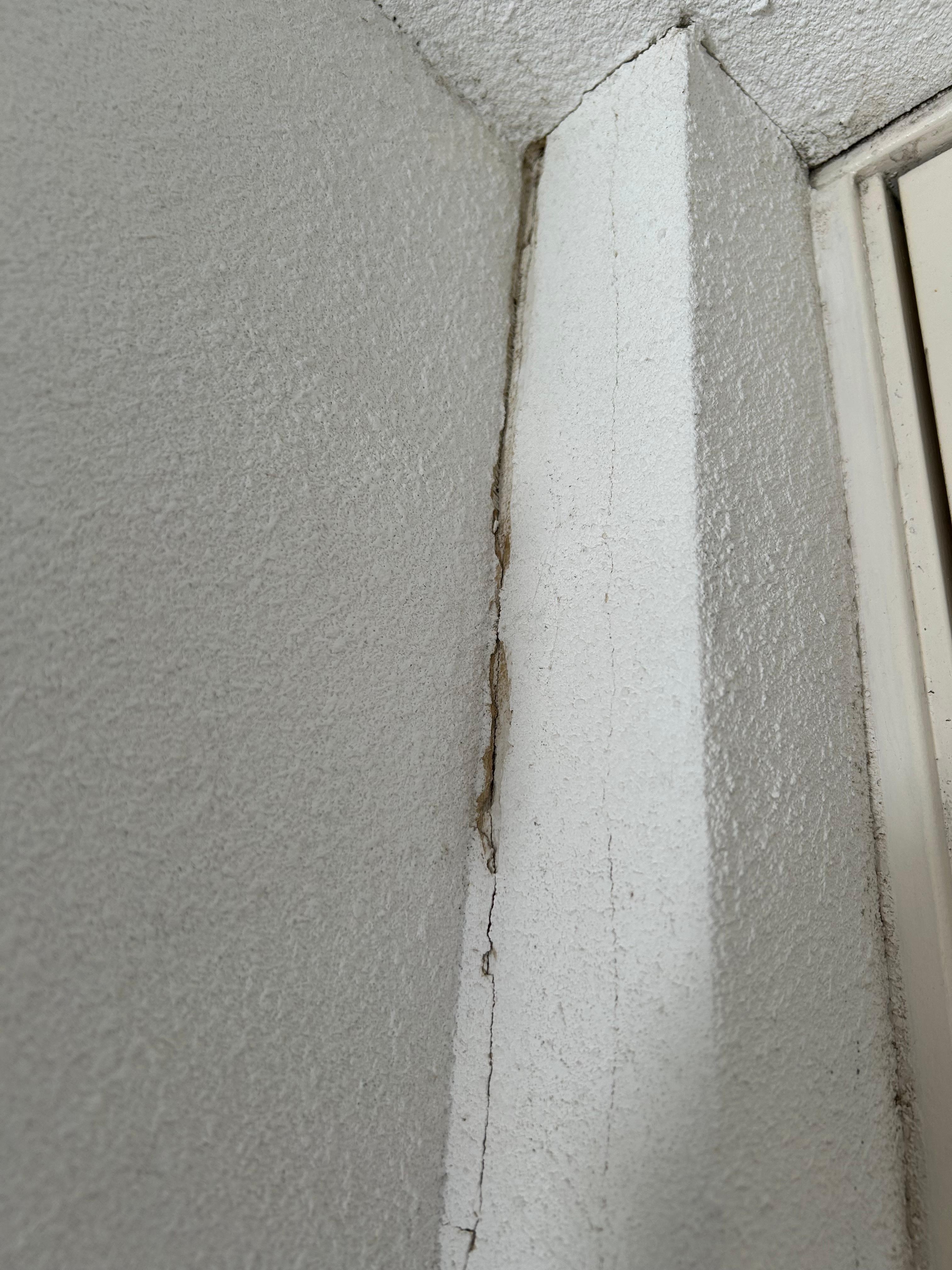 Wall cracks from damp