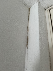 Wall cracks from damp