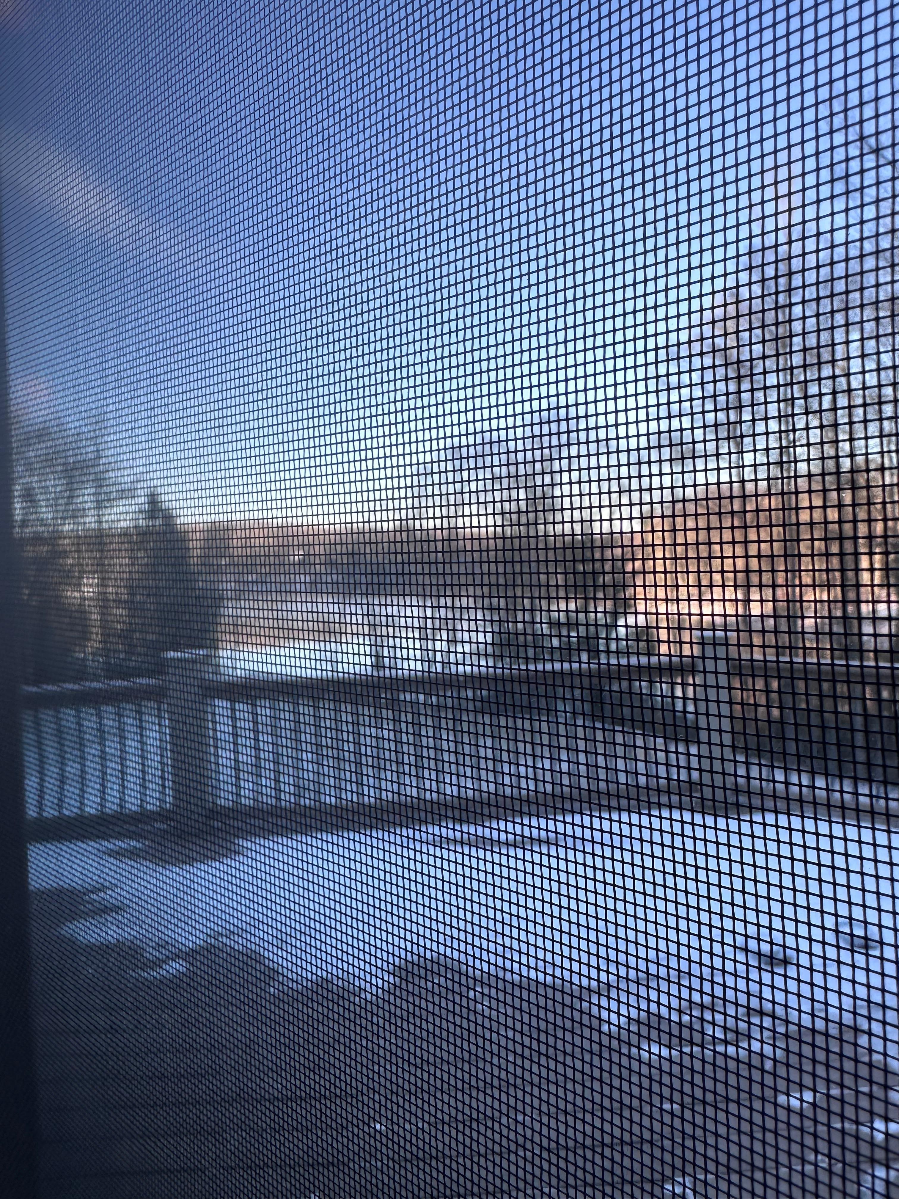 Little bit of snow was fun!  