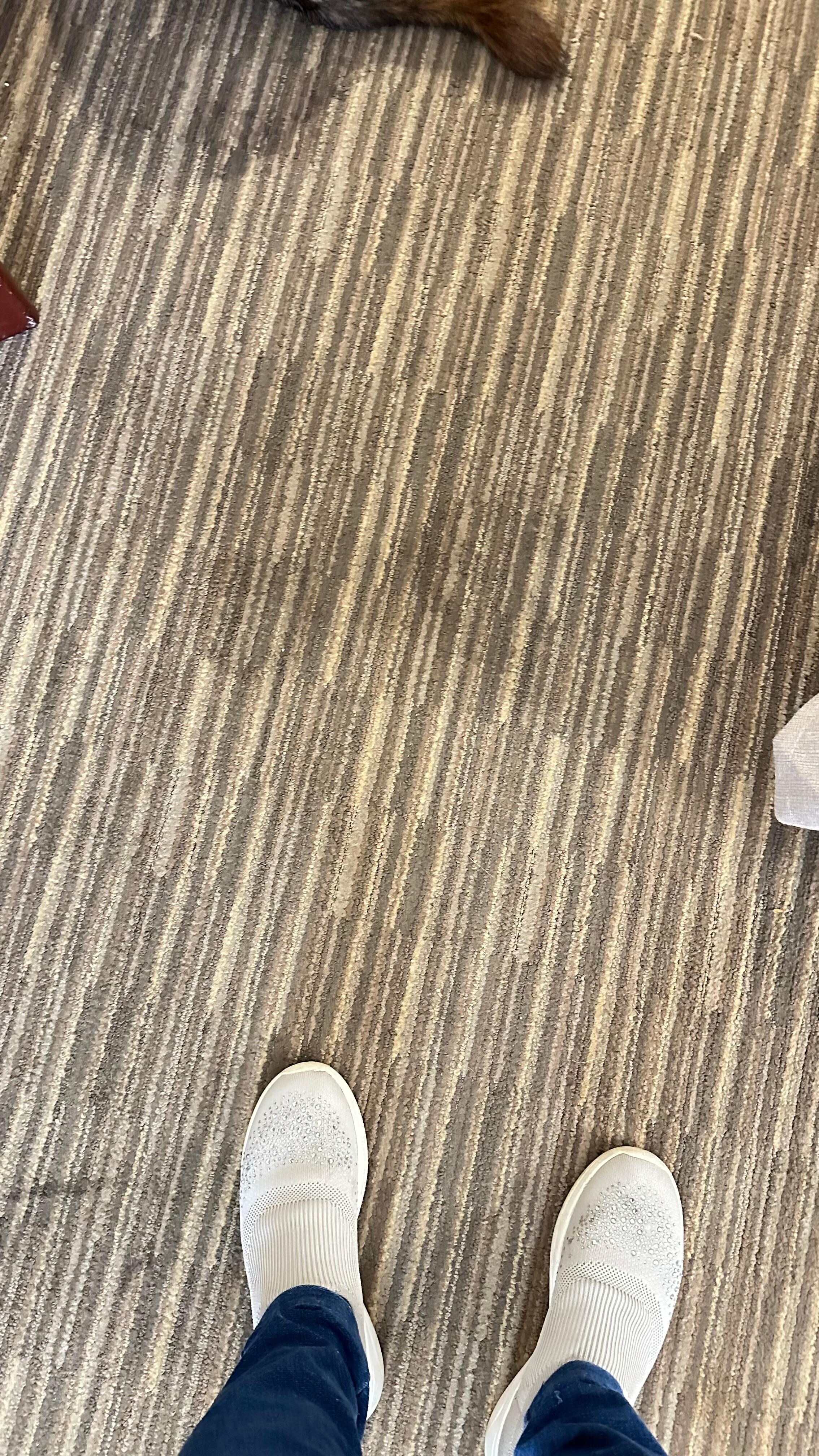 Pet pee stains 